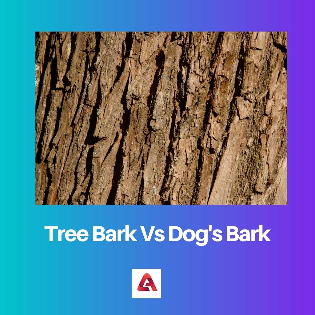 Tree Bark Vs Dogs Bark