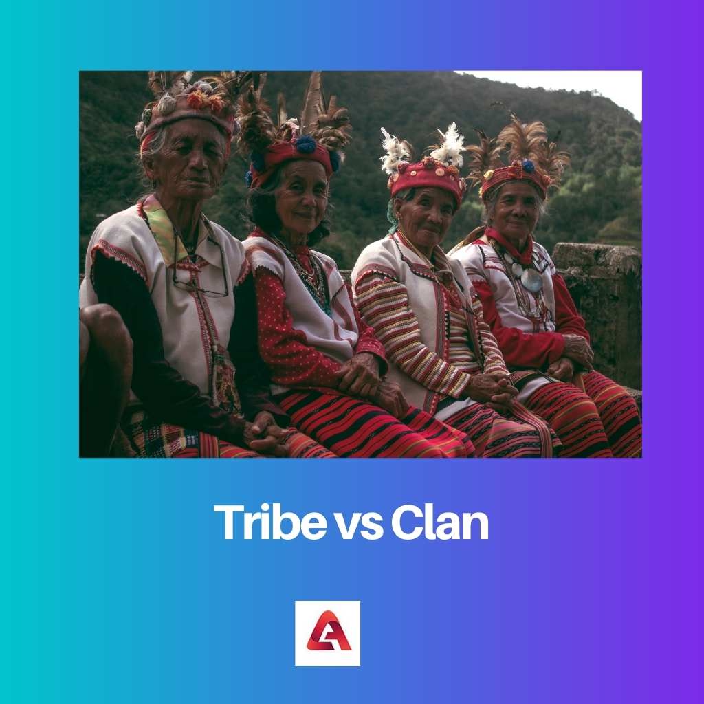 Tribe vs Clan