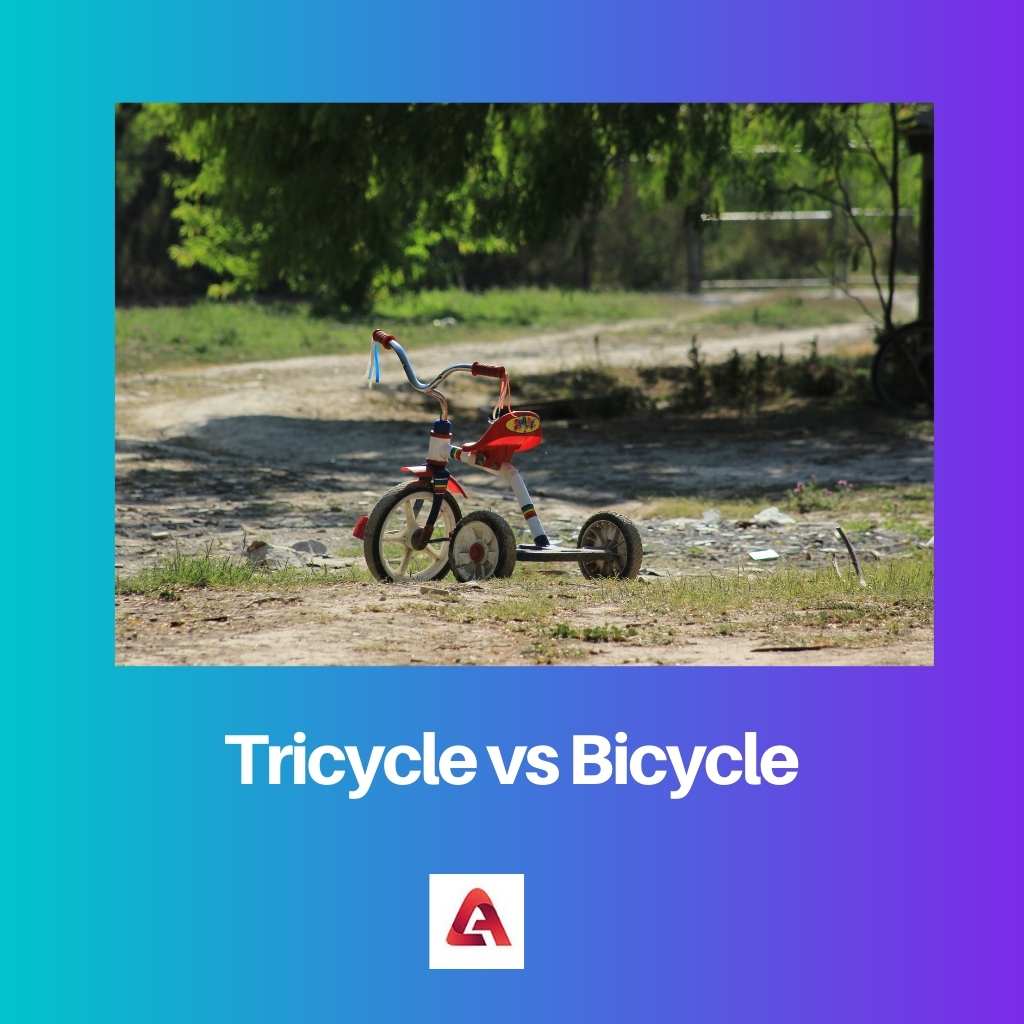 Tricycle vs Bicycle