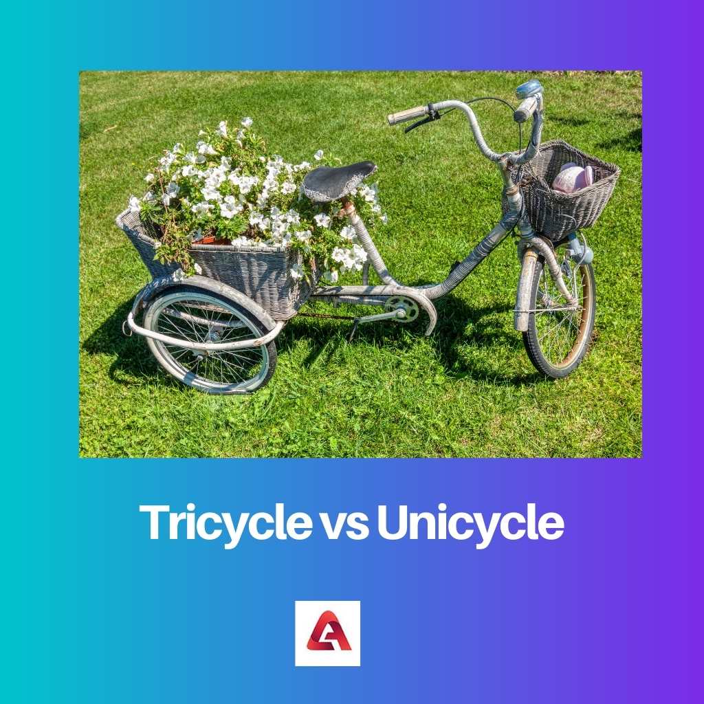 Tricycle vs Unicycle