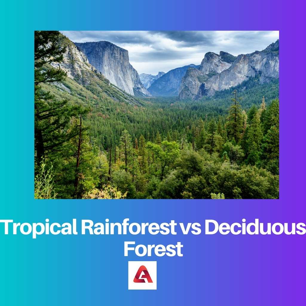 Tropical Rainforest vs Deciduous Forest