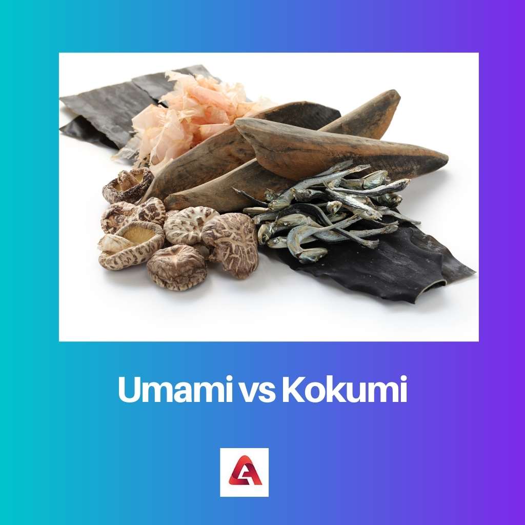 Umami vs Kokumi