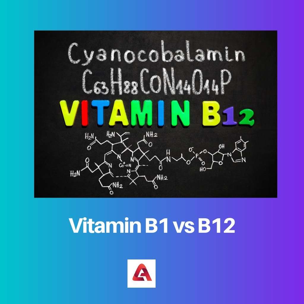 Vitamin B1 vs B12