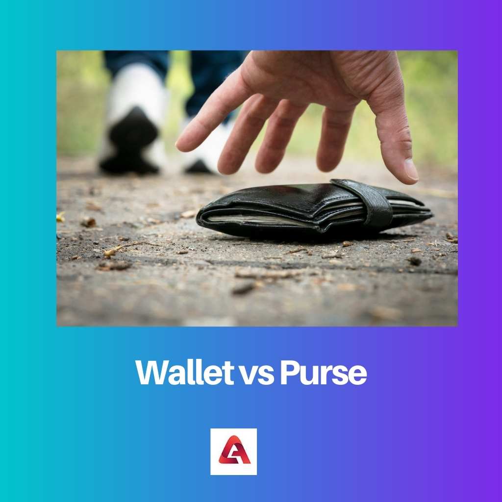 Wallet vs Purse