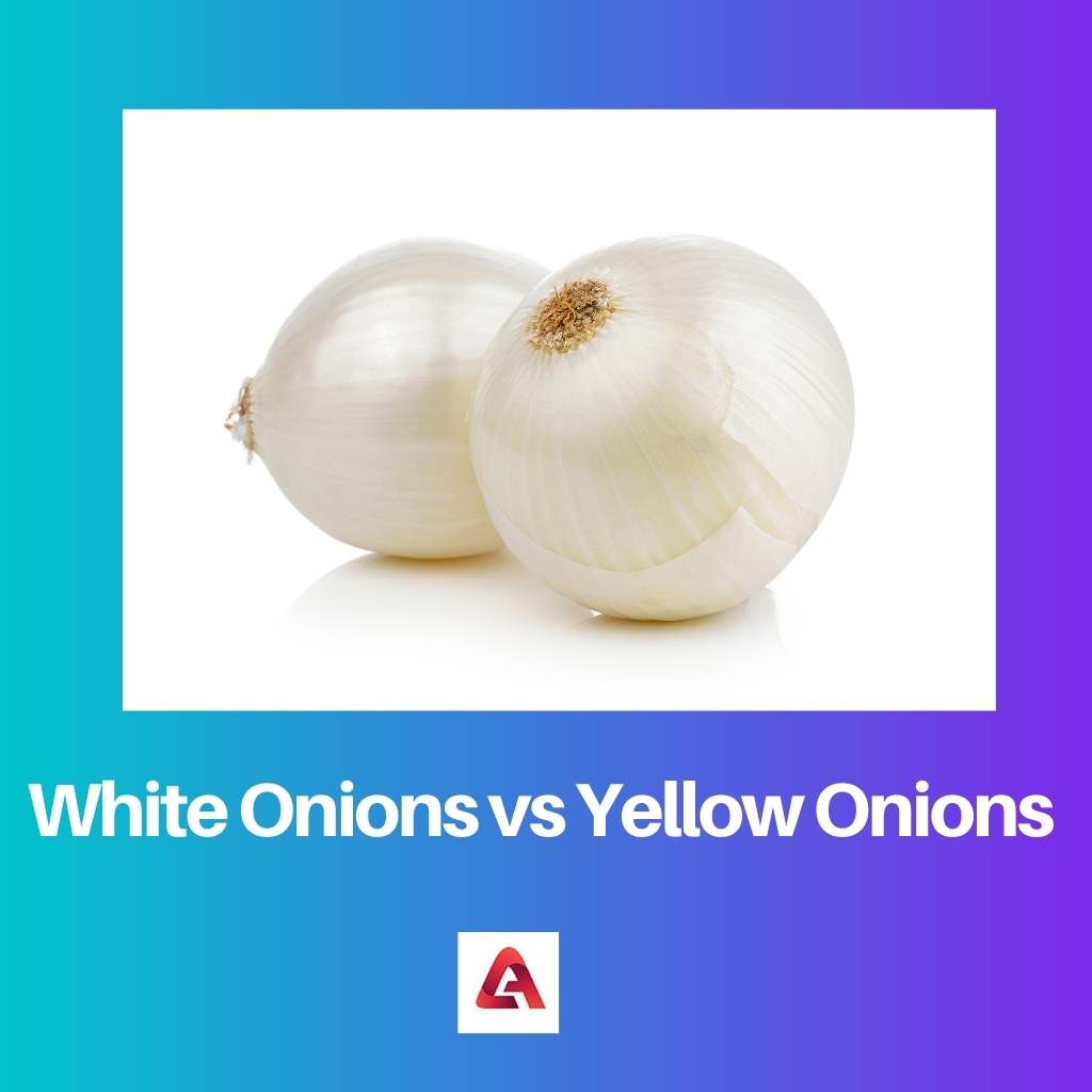 White Onions vs Yellow Onions