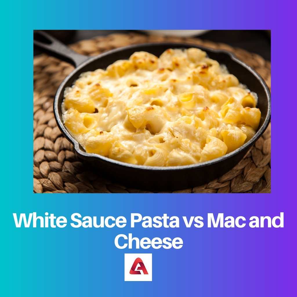 White Sauce Pasta vs Mac and Cheese