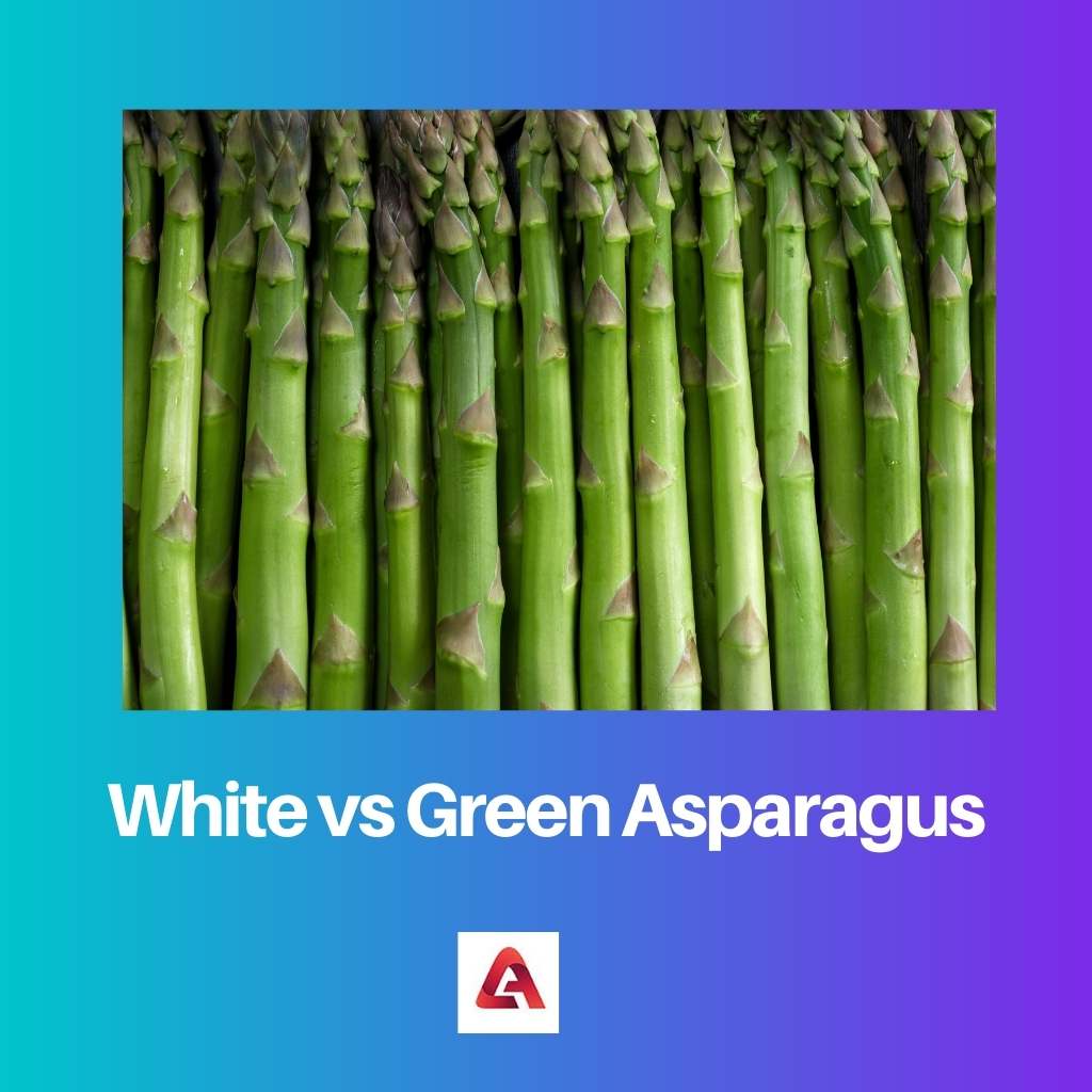 White vs Green Asparagus