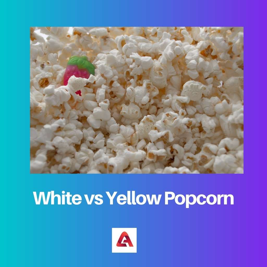 White vs Yellow Popcorn