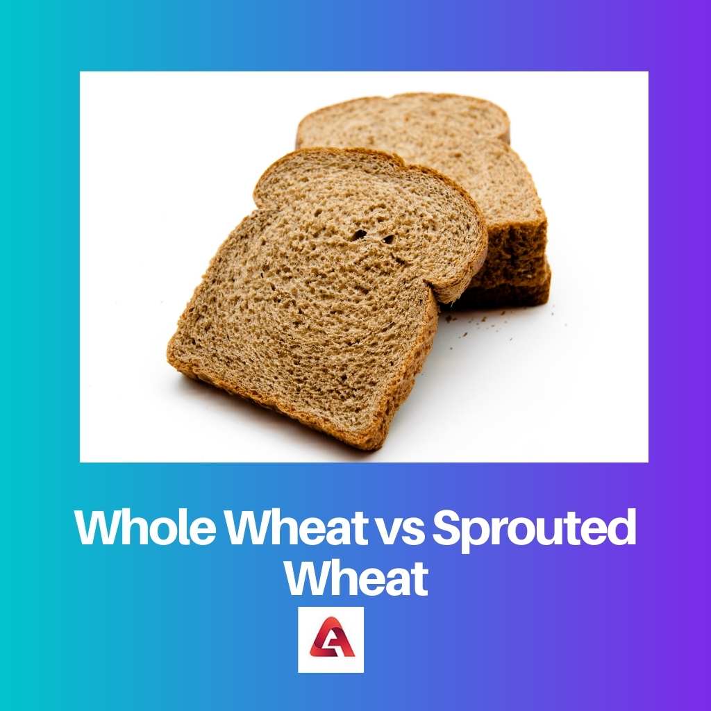 Whole Wheat vs Sprouted Wheat