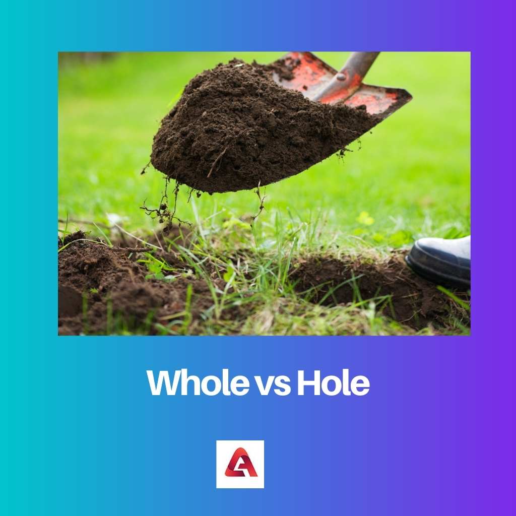 Whole vs Hole
