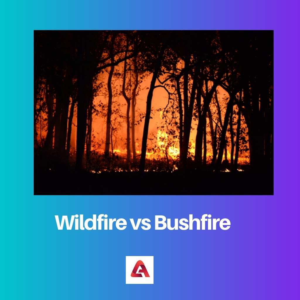 Wildfire vs Bushfire