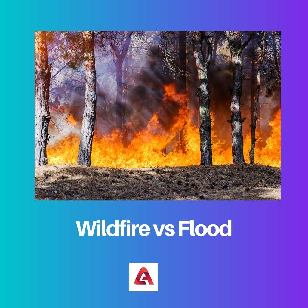 Wildfire vs Flood