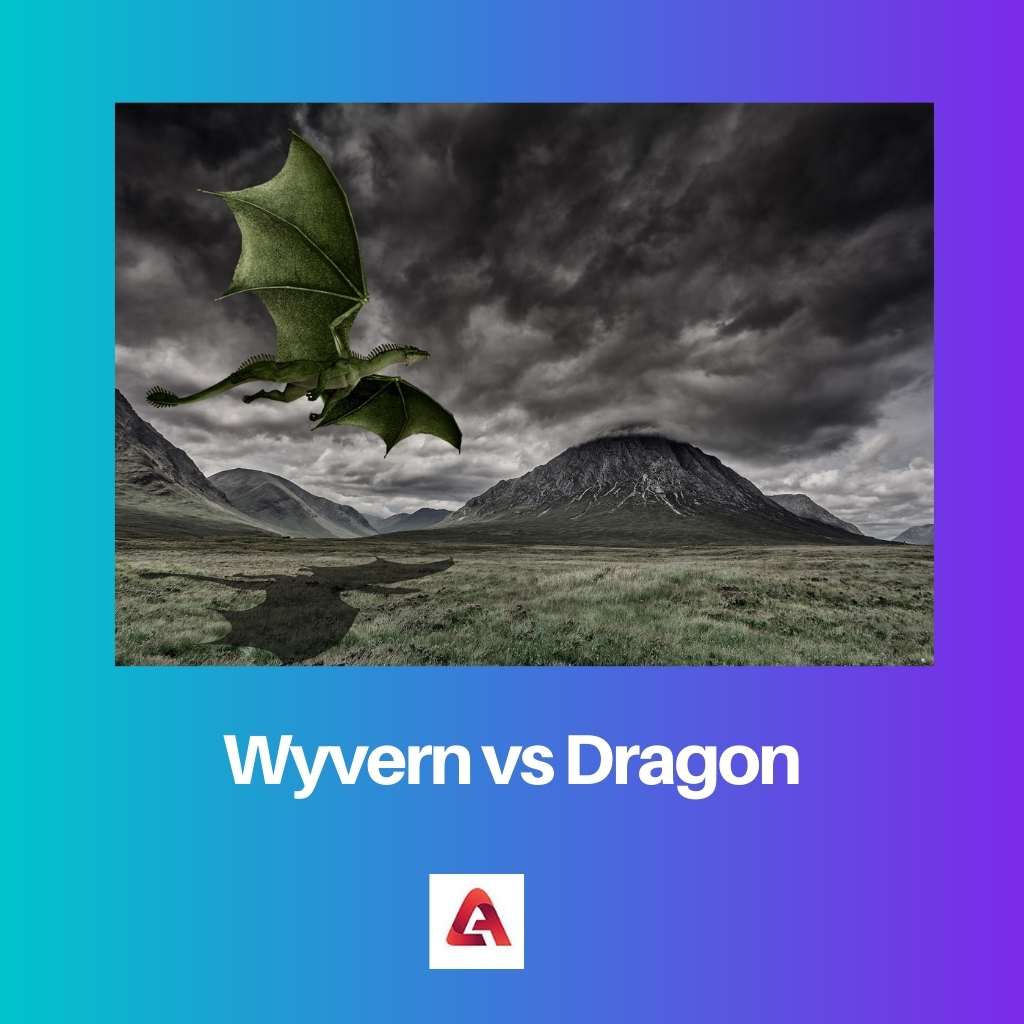 Wyvern vs Dragon