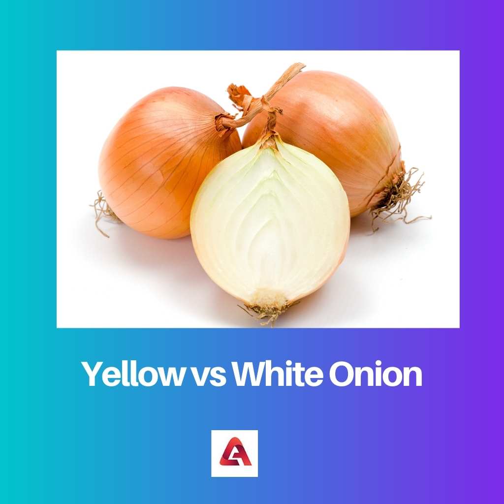 Yellow vs White Onion