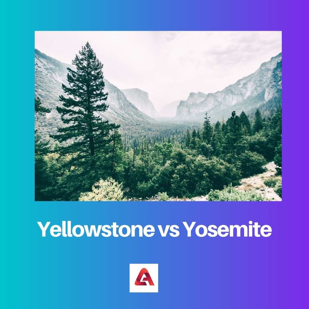 Yellowstone vs Yosemite