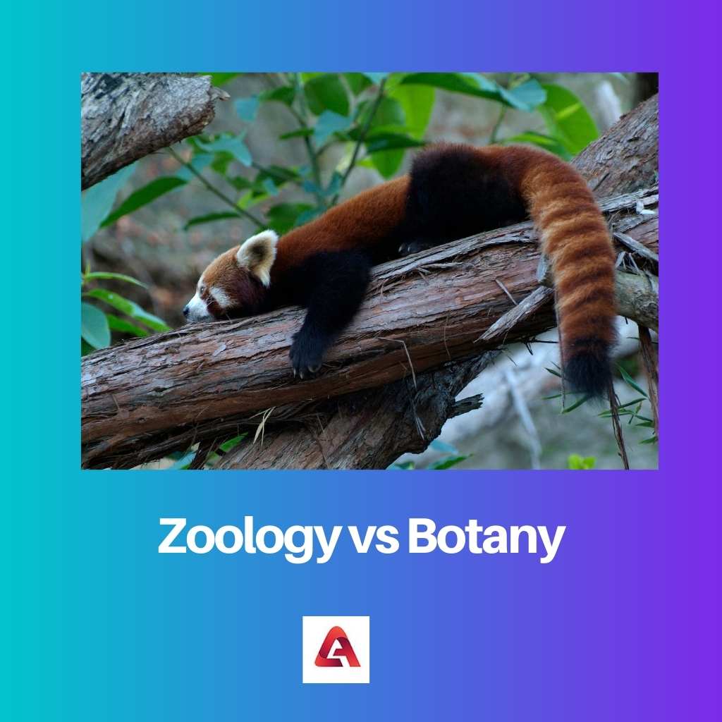 Zoology vs Botany