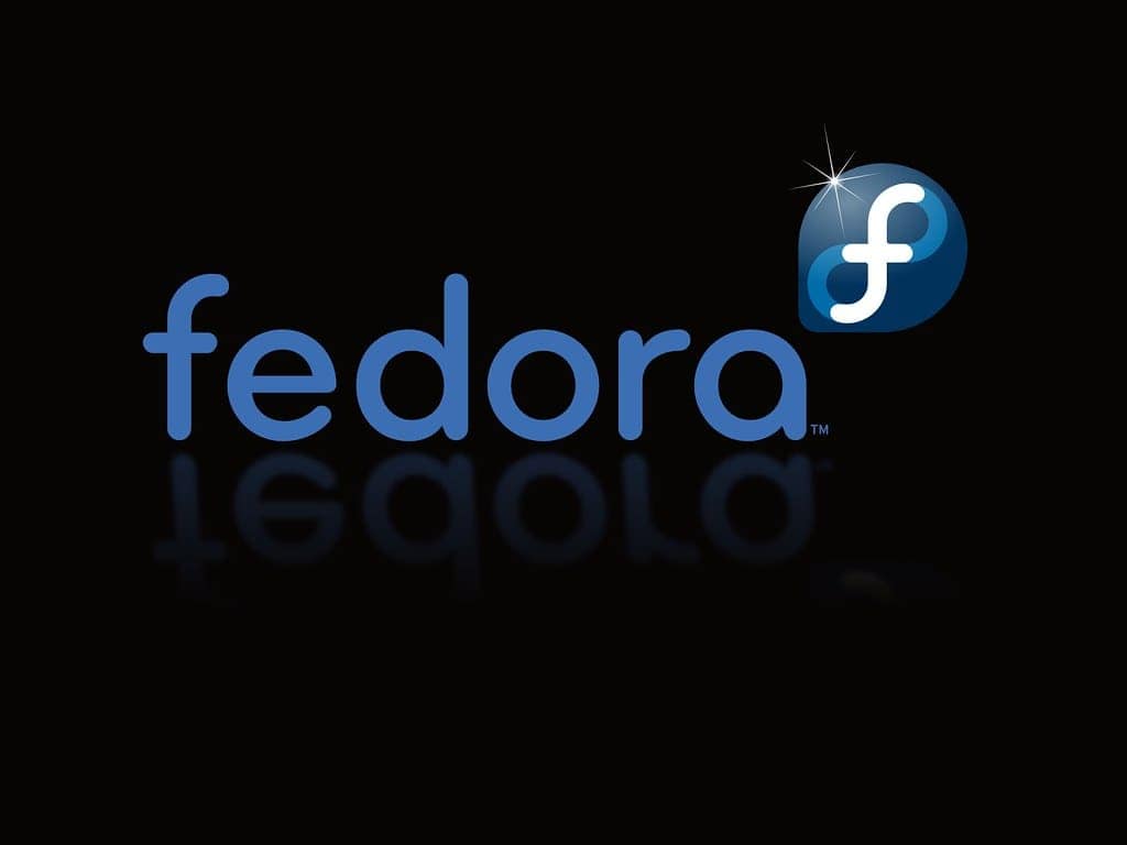 fedora