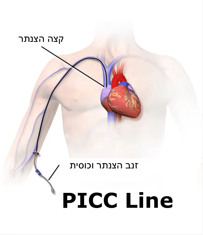 picc line
