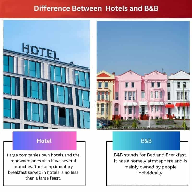 Hotel Vs B&B: Difference And Comparison